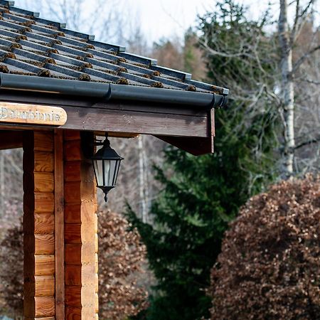 Loch Insh Chalets Ltd Kincraig Εξωτερικό φωτογραφία