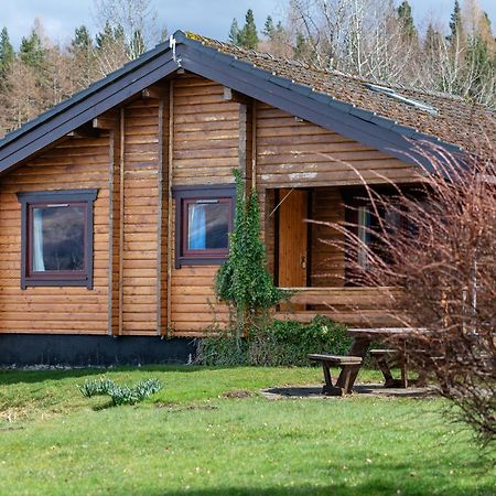 Loch Insh Chalets Ltd Kincraig Εξωτερικό φωτογραφία