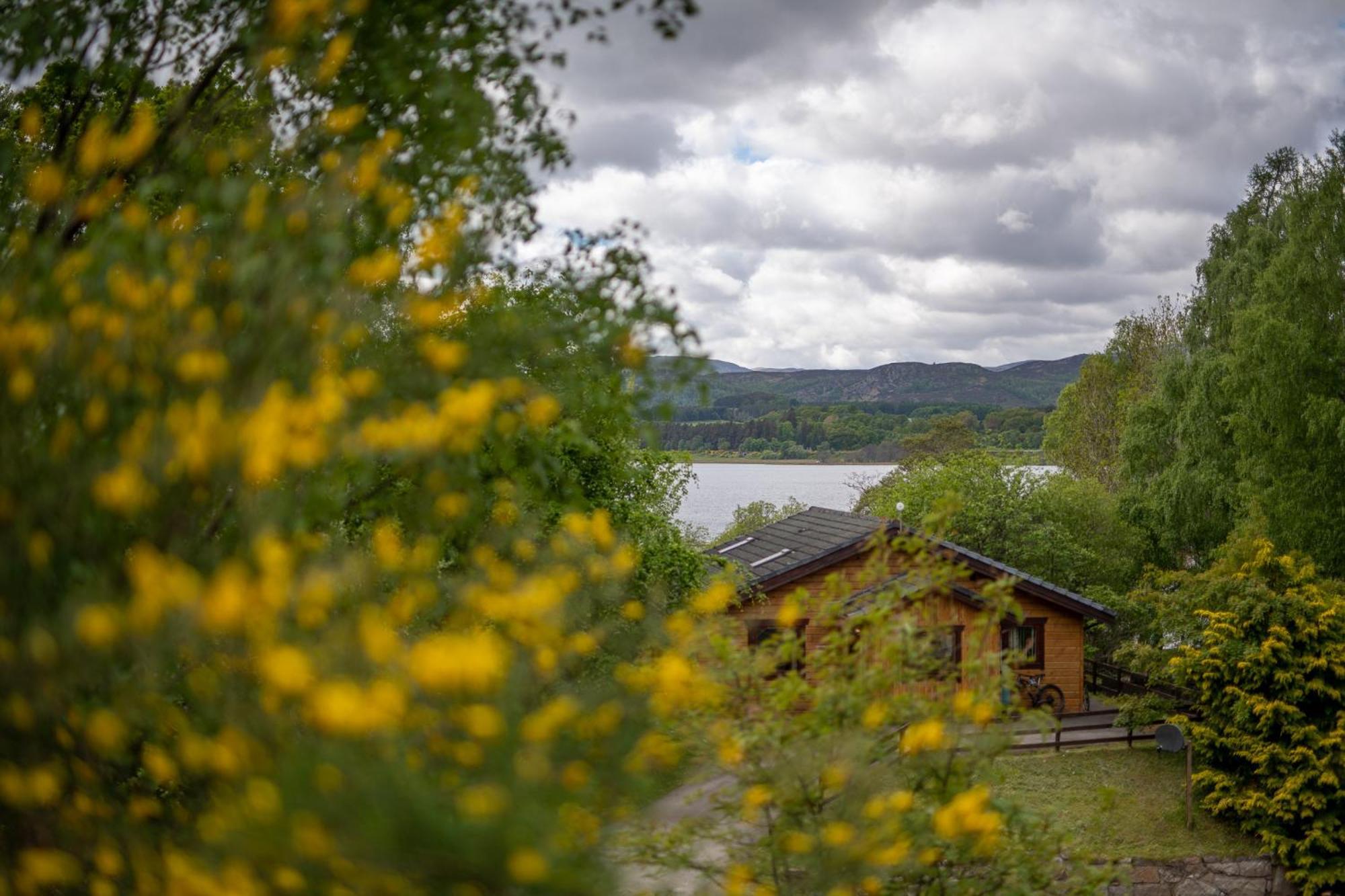 Loch Insh Chalets Ltd Kincraig Εξωτερικό φωτογραφία